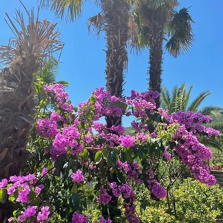 Mypalmassuite With Free Parking In Lägenhet *